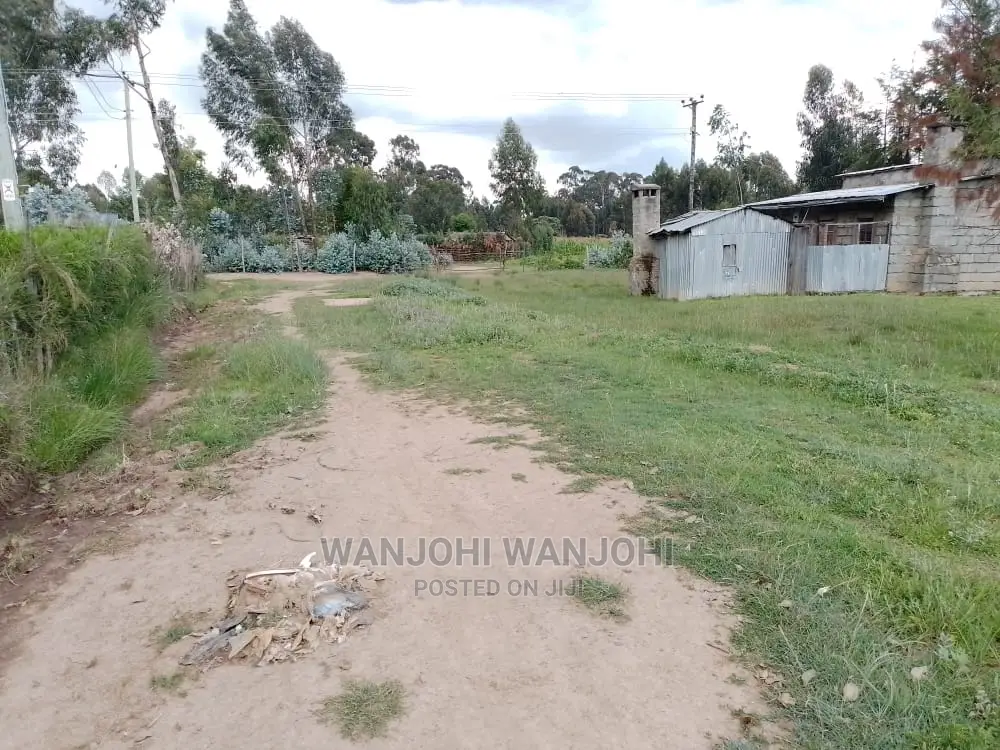 Very Prime Plots in Oljoroorok