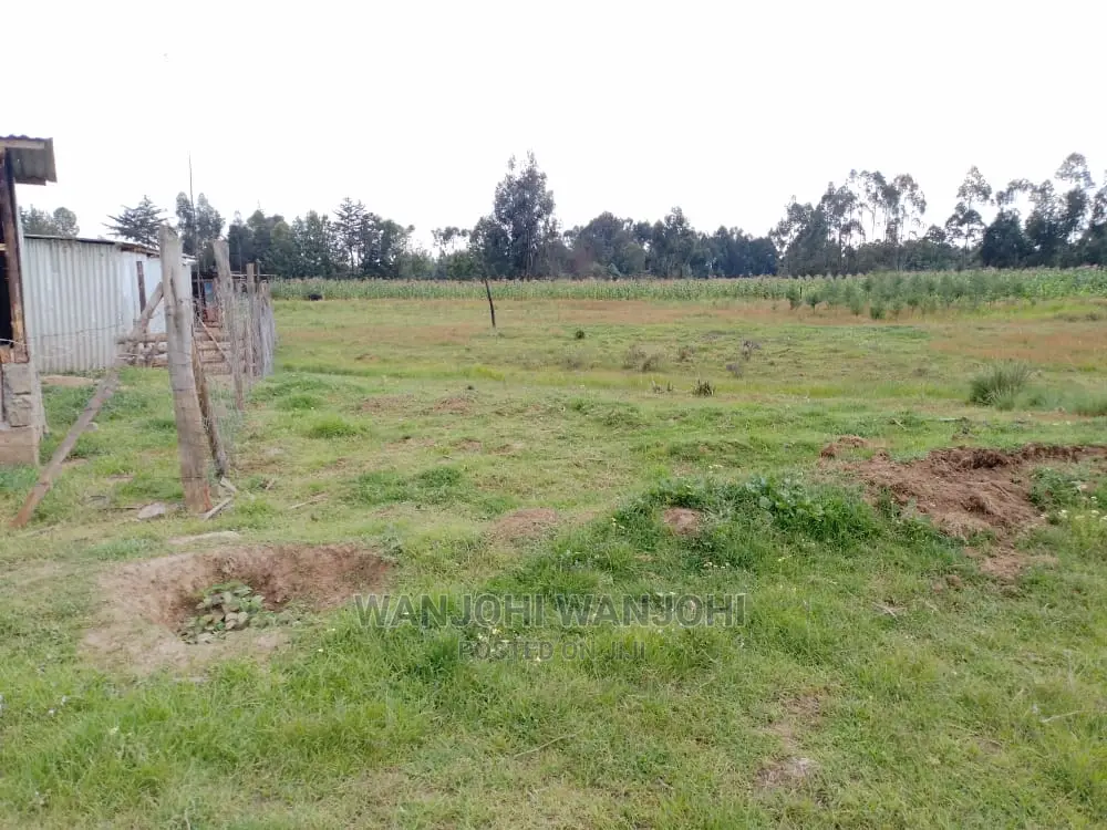 Very Prime Plots in Oljoroorok