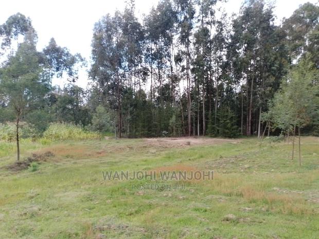 Prime Plots in Oljoro-Orok - thumbnail 3