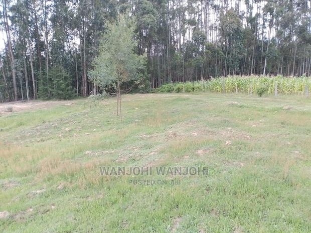 Prime Plots in Oljoro-Orok - thumbnail 4