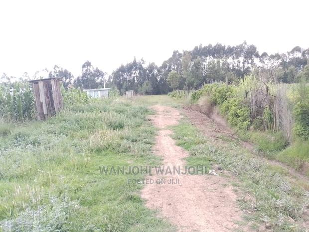 Prime Plots in Oljoro-Orok - thumbnail 5