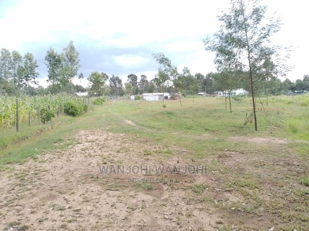 Prime Plots in Oljoro-Orok - thumbnail 6