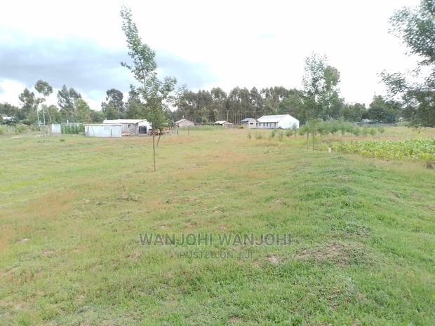 Prime Plots in Oljoro-Orok - thumbnail 8