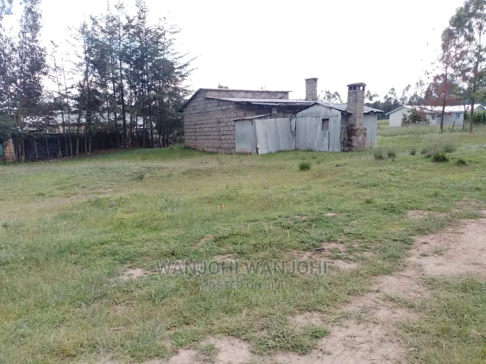 Prime Plots in Oljoro-Orok