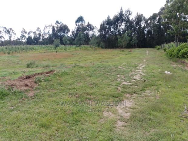 Prime Plots in Oljoro-Orok - thumbnail 10