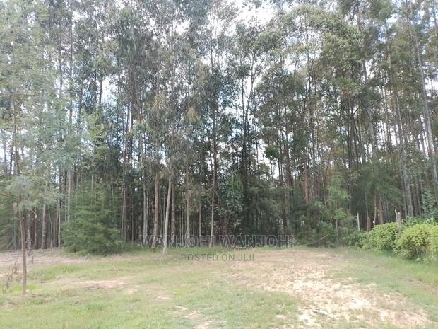 Prime Plots in Oljoro-Orok - thumbnail 11