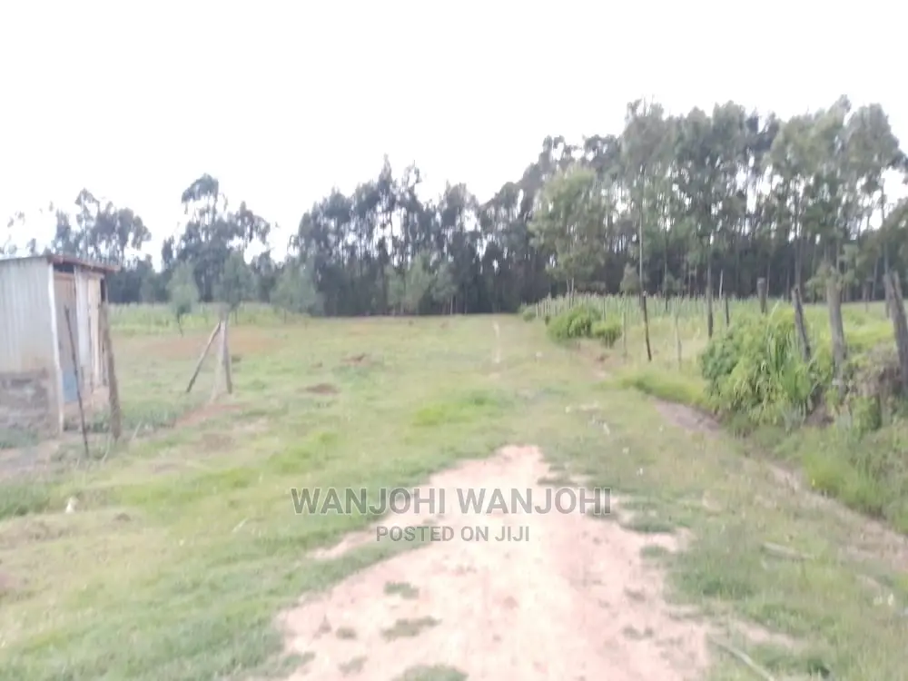 Prime Plots in Nyandarua County