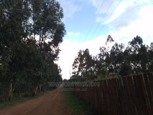 Prime Plots in Nyandarua County - thumbnail 2