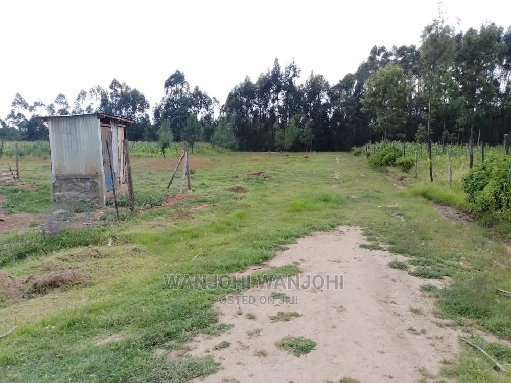 Prime Plots in Nyandarua County