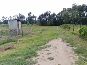Prime Plots in Nyandarua County