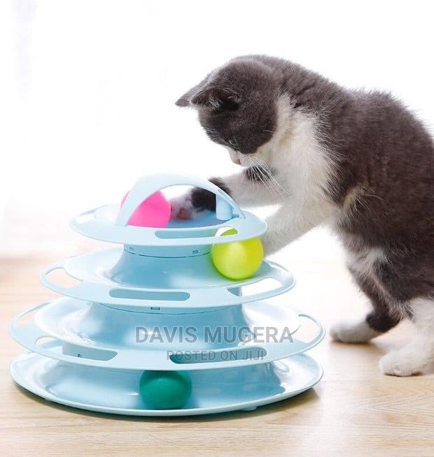 Cat Tracks Interactive Turntable Exercise Toy - main view