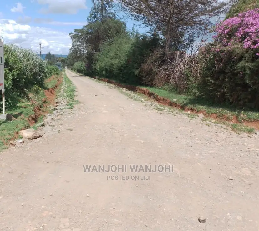 Very Prime Plots in Kasuku Town