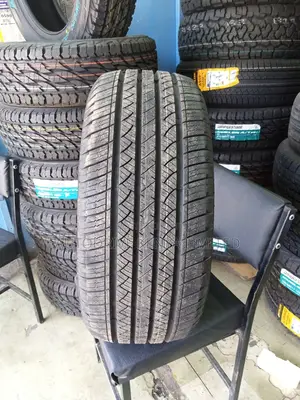 255/55r18 Maxtrek