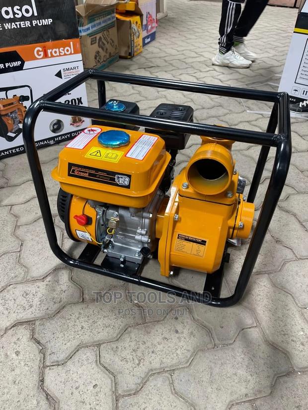 Girasol Water Pump