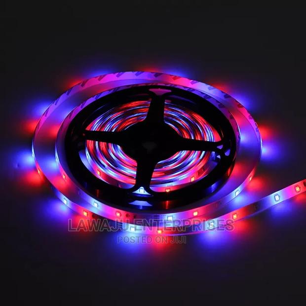 5m RGB LED Snake Light - thumbnail 5