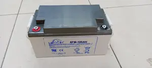 Leoch 100ah12v Solar Battery