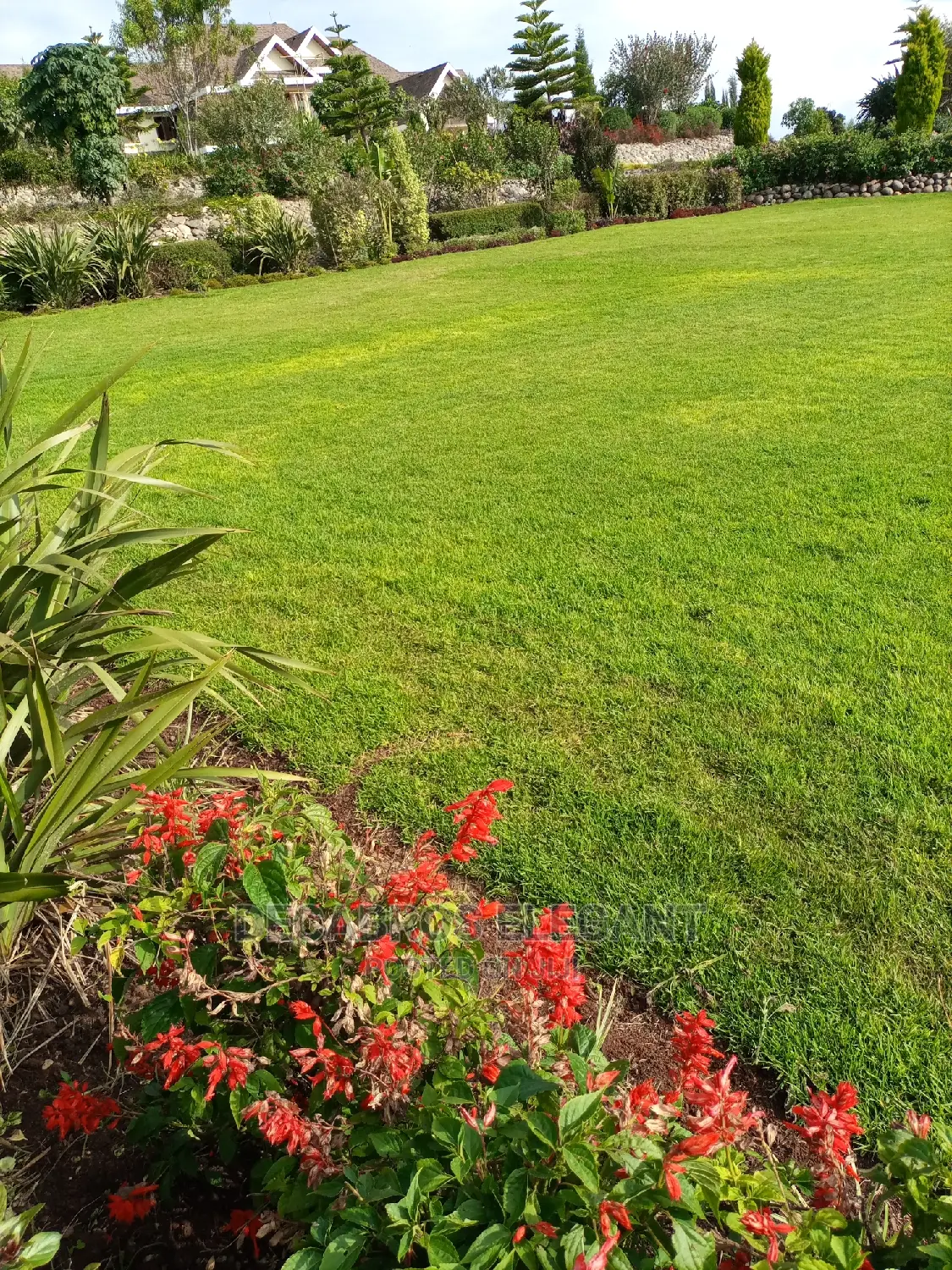 Landscaping and Cabro Works