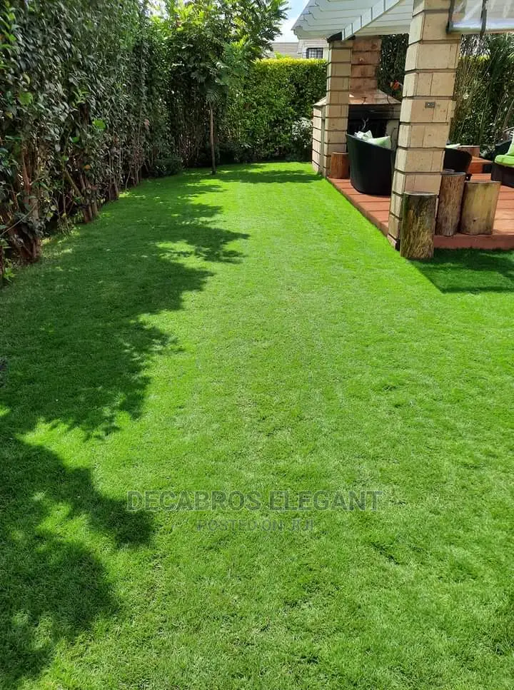 Landscaping and Cabro Works