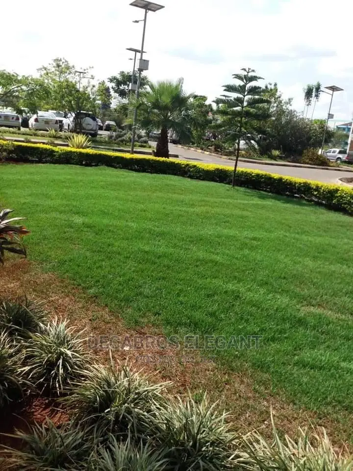 Landscaping and Cabro Works