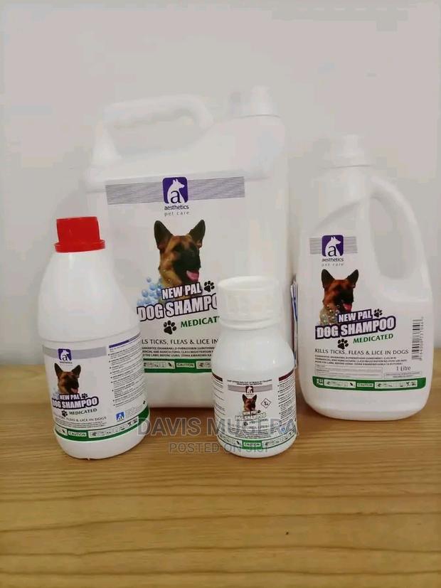 5 Litres Pal Dog Shampoo - main view