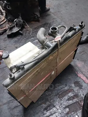 Complete Radiator Nissan Ad