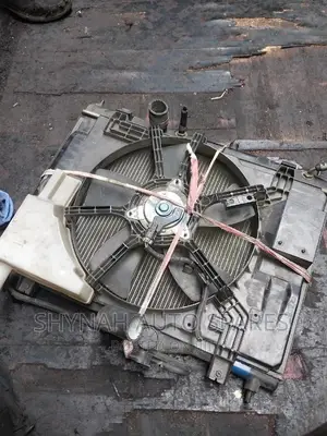 Complete Radiator Nissan Ad