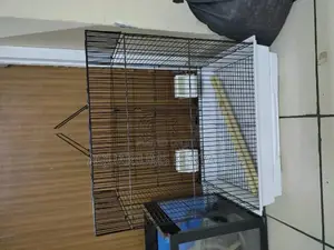 Cockatiel and Parrot Cages