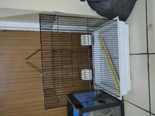 Cockatiel and Parrot Cages