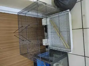 Cages for Parrots , Love Birds and Birdges