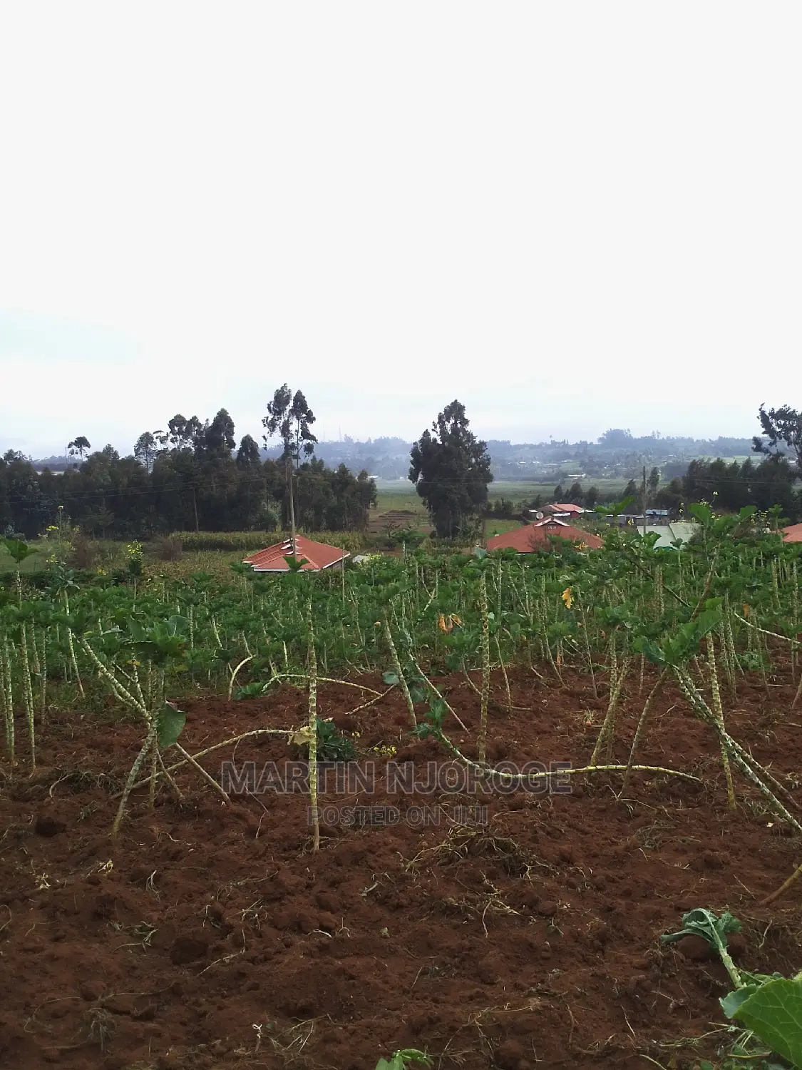0.75 Acres Uplands ( Nyambari) Lari