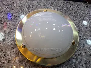 Full Moon Ceiling Light