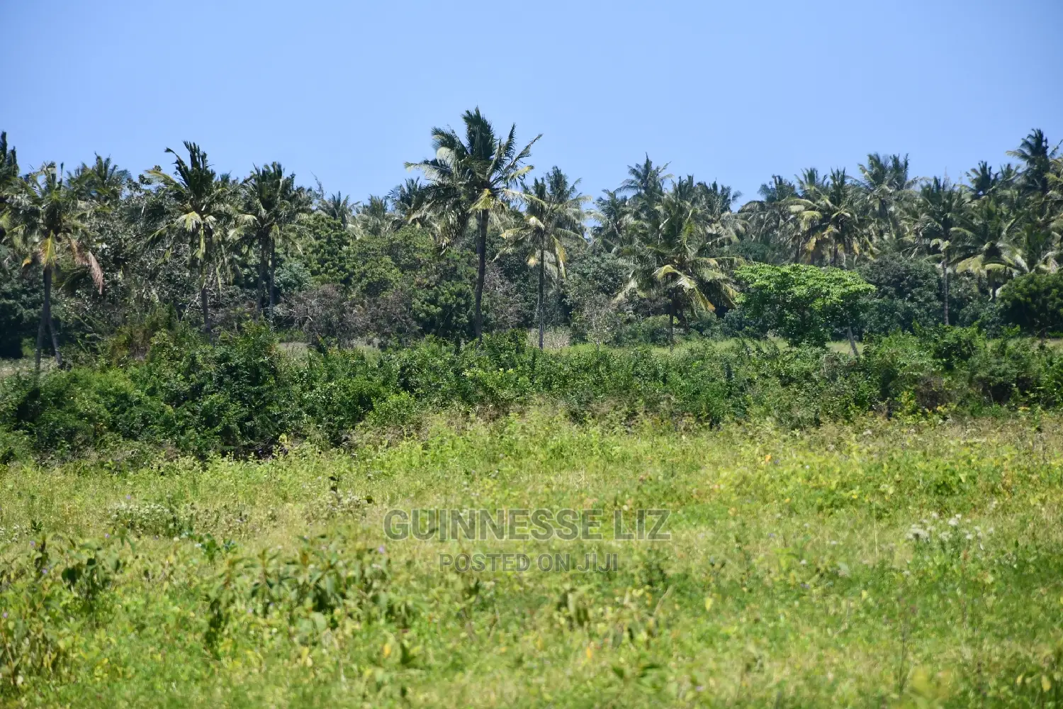 Kikambala Bomani Prime Plots on Sale