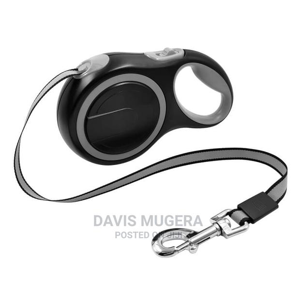 Retractable Automatic Extending Dog Leash for Walks 8M LONG - main view