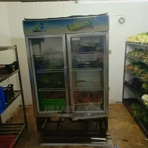 Fridge Repair Services