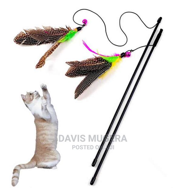 Bird Feather Teaser Wand Cat Toy - main view