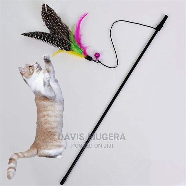Bird Feather Teaser Wand Cat Toy - thumbnail 3