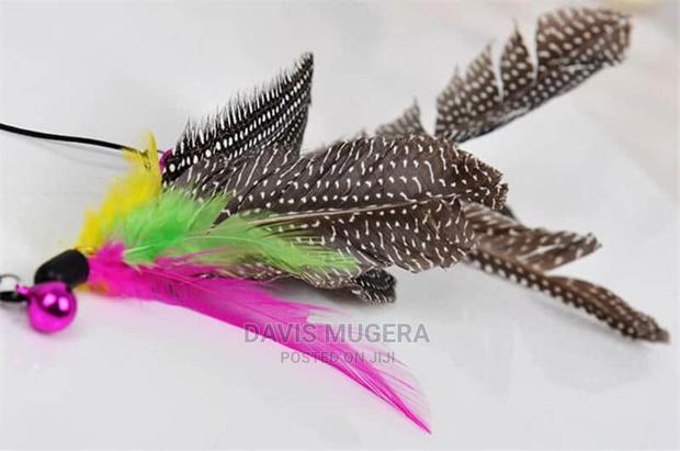 Bird Feather Teaser Wand Cat Toy - thumbnail 4
