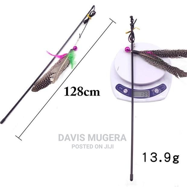 Bird Feather Teaser Wand Cat Toy - thumbnail 5