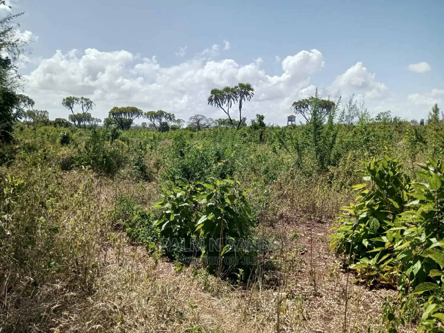6 Acre Plot on Sale in Area Opp Almanara in Galu Diani.