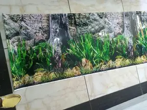 Aquarium Background With Nature Look