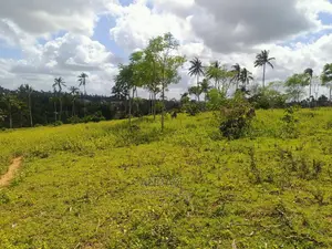 Land for Sale in Mazeras, Rabai