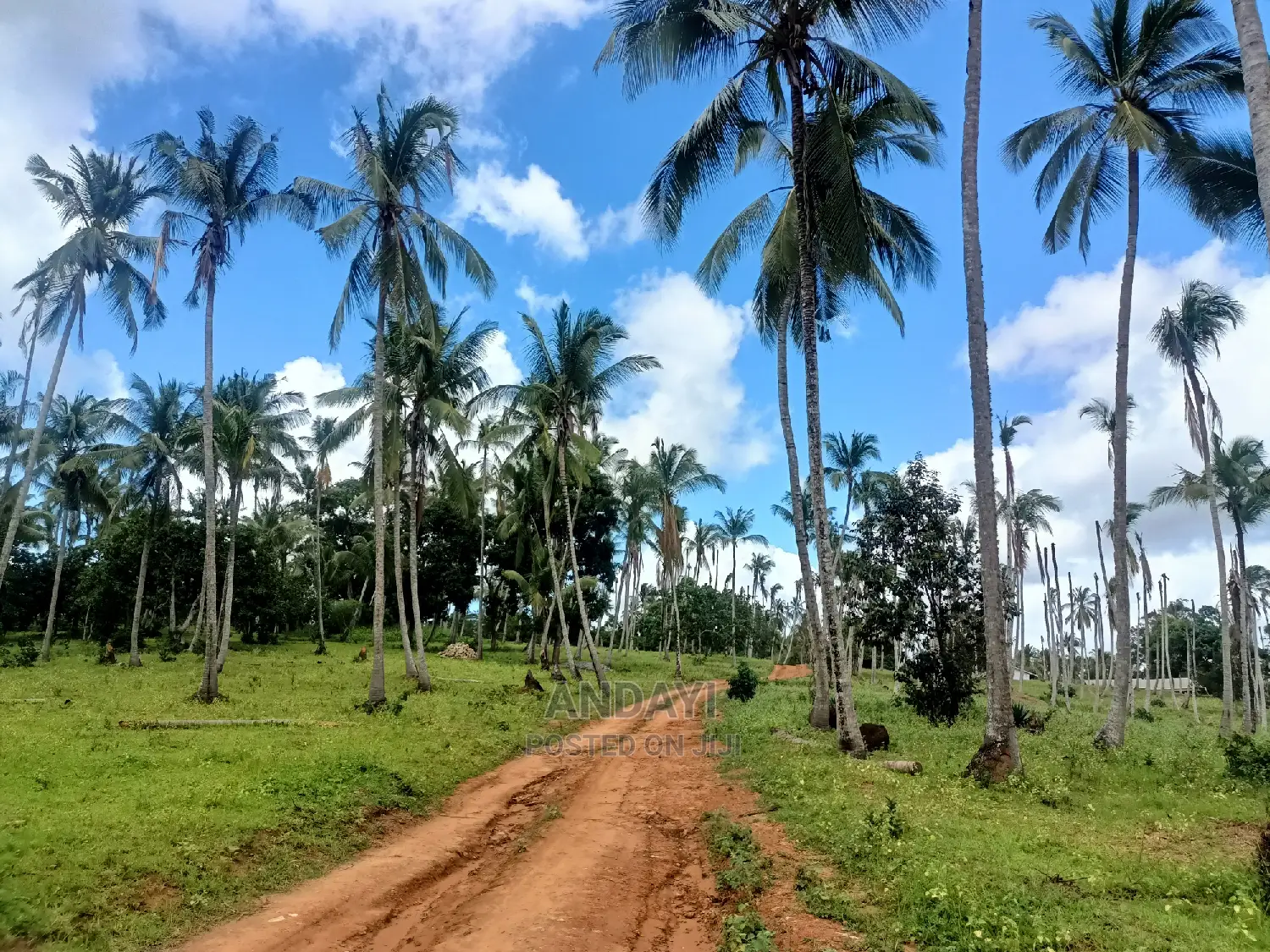 Land for Sale in Mazeras, Rabai