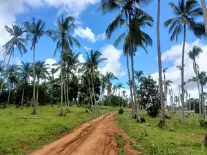 Land for Sale in Mazeras, Rabai