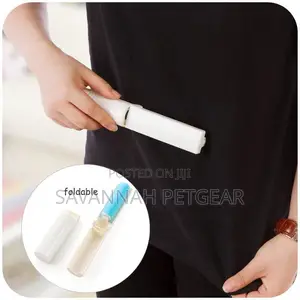 Portable and Reusable Lint Roller