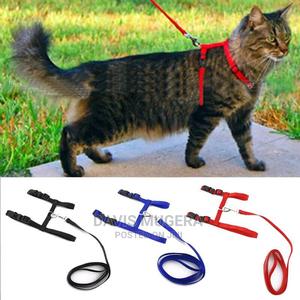 Adjustable Leash Harness Set for Cats - thumbnail 2