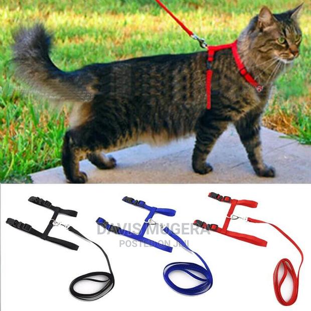 Adjustable Leash Harness Set for Cats - main view