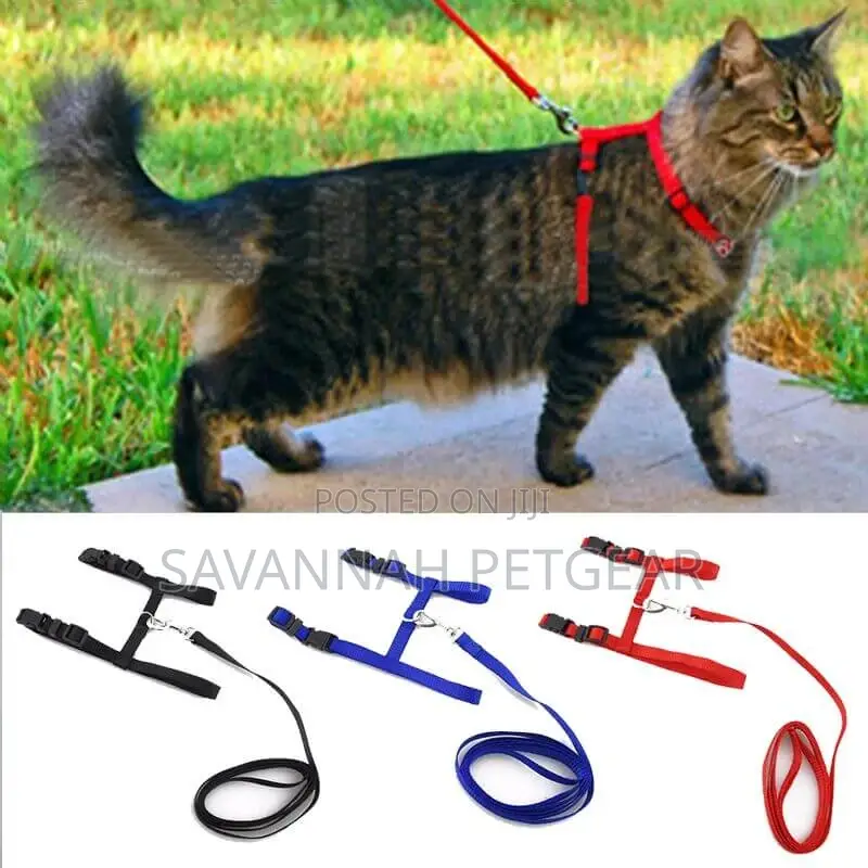 Adjustable Leash Harness Set for Cats
