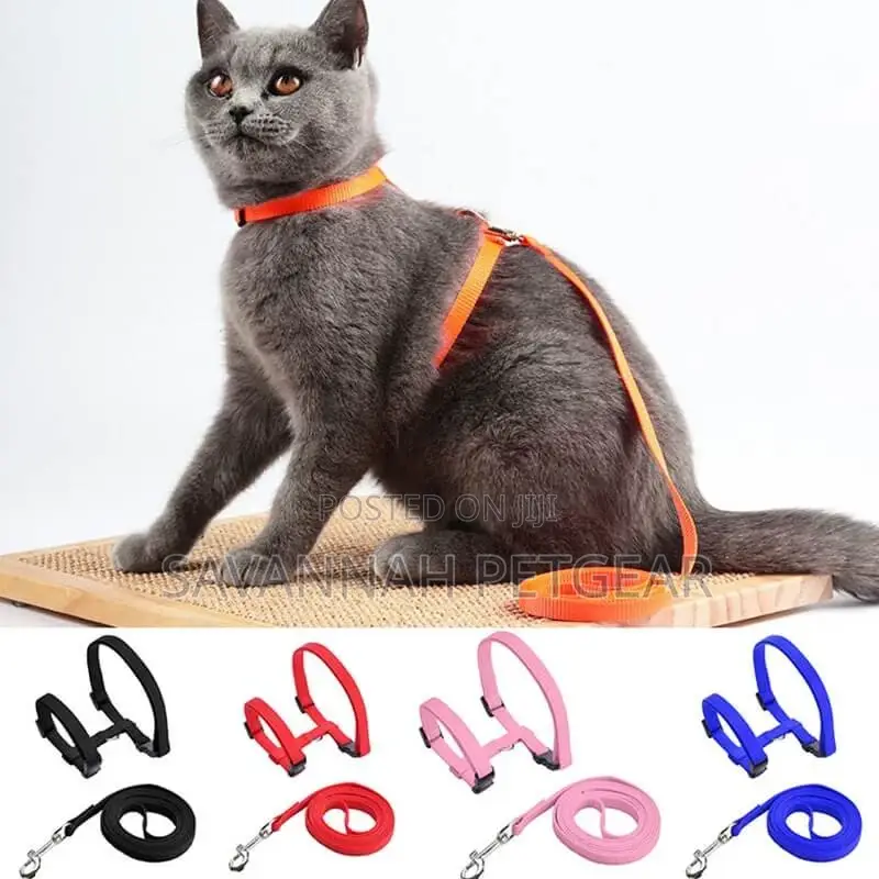 Adjustable Leash Harness Set for Cats