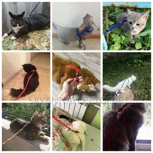 Adjustable Leash Harness Set for Cats