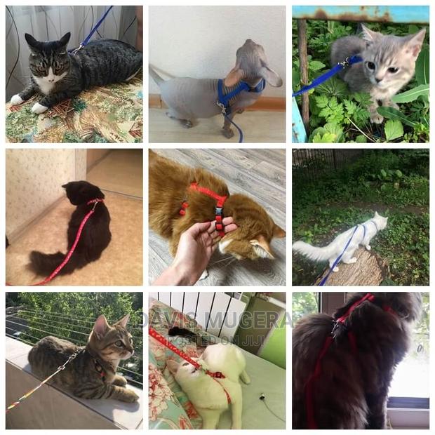 Adjustable Leash Harness Set for Cats - thumbnail 4
